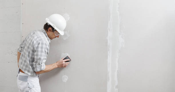 Best Repainting for Renovations  in Peoria Heights, IL